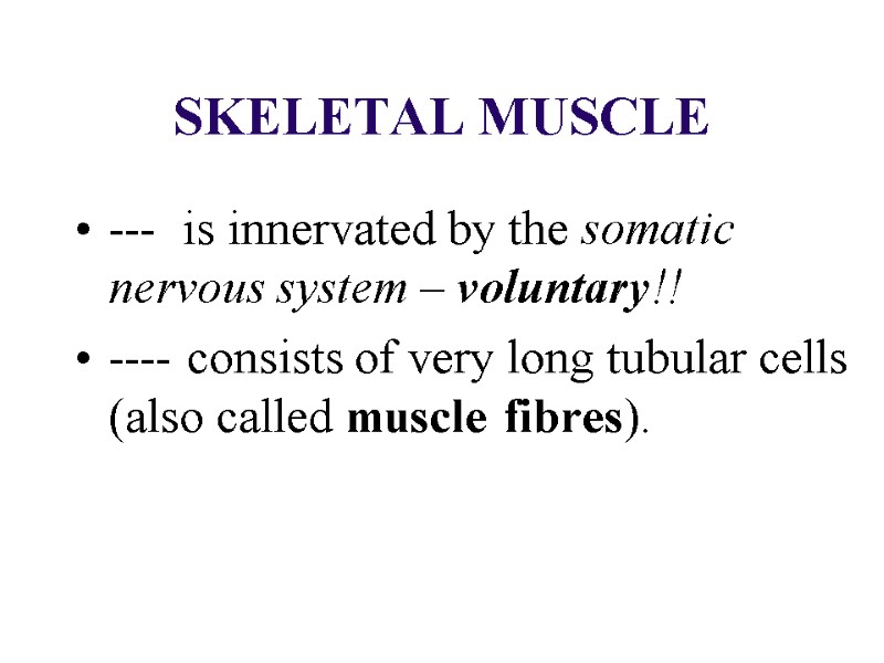 SKELETAL MUSCLE ---  is innervated by the somatic nervous system – voluntary!! 